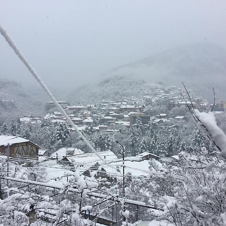 Hotel Greenland Borjomi Exterior foto
